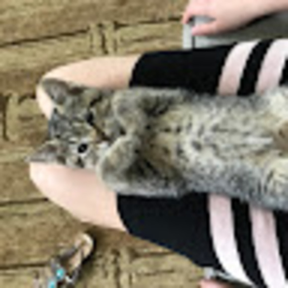 Meet your Posher, Olga - Picture 1 of 1